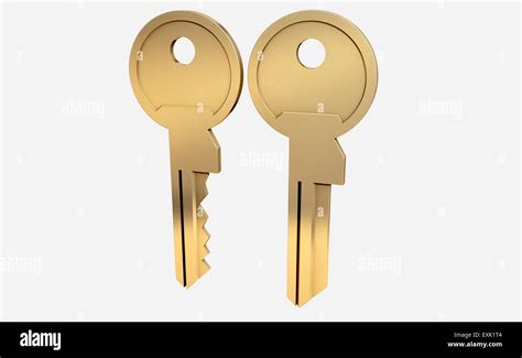cut brass key   blank version   isolated white studio