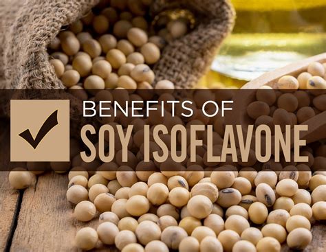 Soybean Extract 60% isoflavone – Supplier plant extract chlorogenic acid