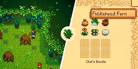 How to Get Fiddlehead Ferns in Stardew Valley