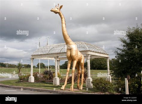 Shropshire Metal And Ironworks Sculpture Park Oswestry Shropshire