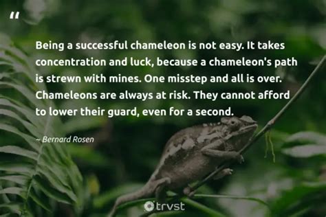 23 Chameleon Quotes Camouflaging Wisdom