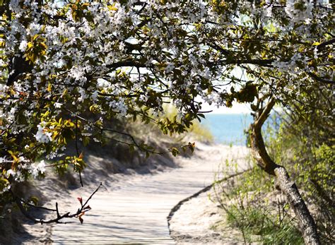 Things to Know Before Visiting | latvia.travel