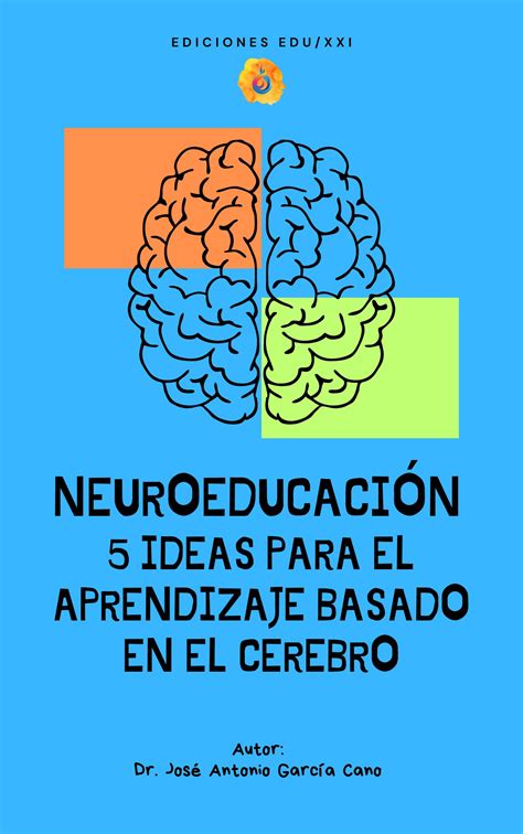 Neuroeducacion En El Aula 🌟 Transforma Tu Aula Con Los Principios