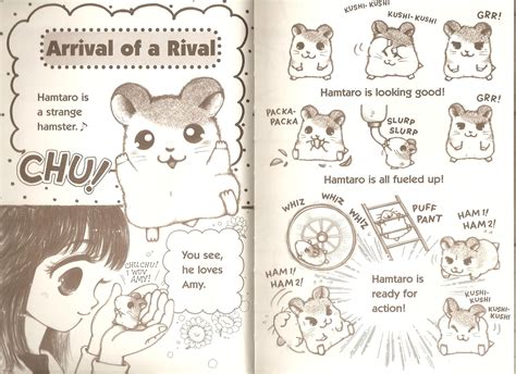 Adventures Of Hamtaro Volume 1 A Home For Hamtaro Other Stories 3
