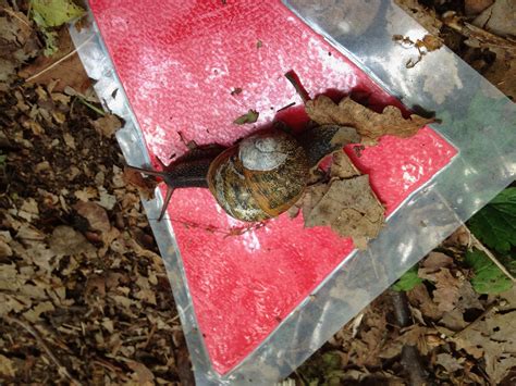 A quick and easy way to calculate 60 F en C 16