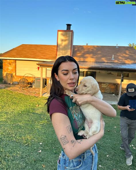 Brianna LaPaglia Wiki, Biography, Age, Gallery, Spouse and more