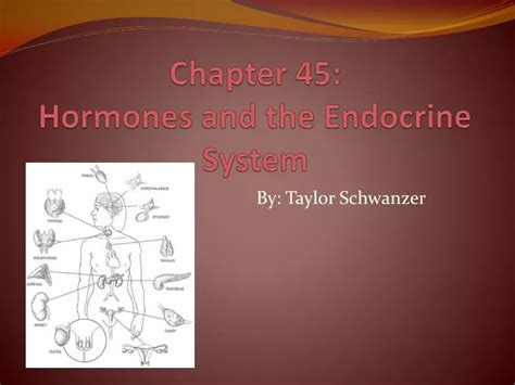 PPT Chapter 45 Hormones And The Endocrine System PowerPoint