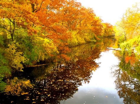 Fall On The Red Cedar River Michigan State University East Lansing