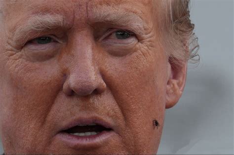 The Fly Has Spoken He Will Lose The Flies Always Know