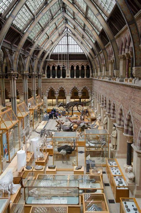 Oxford University Museum Of Natural History England Design By