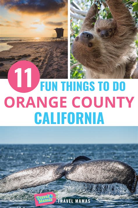 11 Best Things to Do in Orange County, CA (with Kids) | California