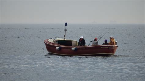 Shark Auf Der Ostsee In Der Mecklenburger Bucht Gesehen Flickr