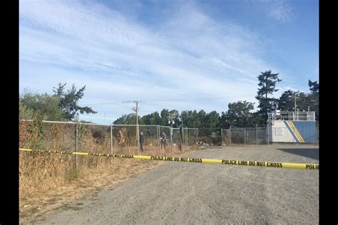 Victoria police investigating report of body at S.J. Willis school