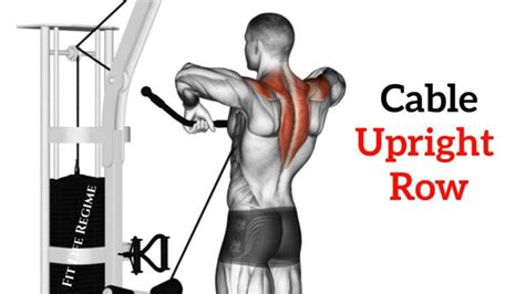 Cable Upright Rows