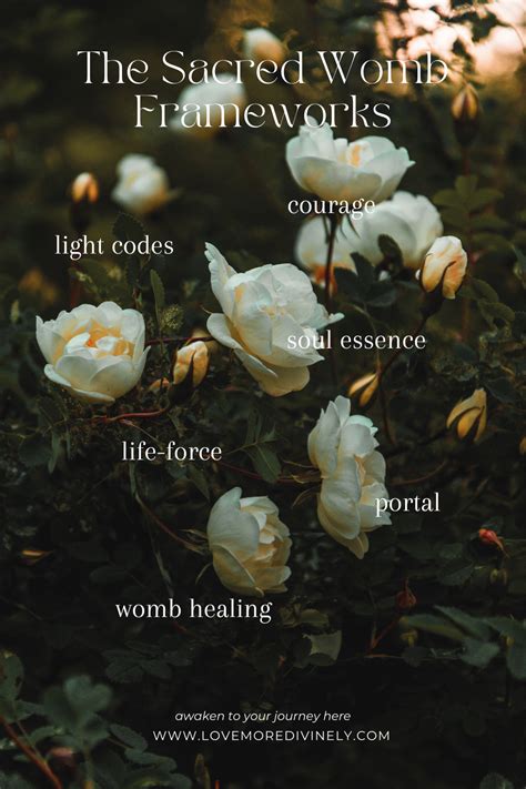Embrace the Sacred Womb Framework: Unlock Light Codes, Courage, and So - Love More Divinely