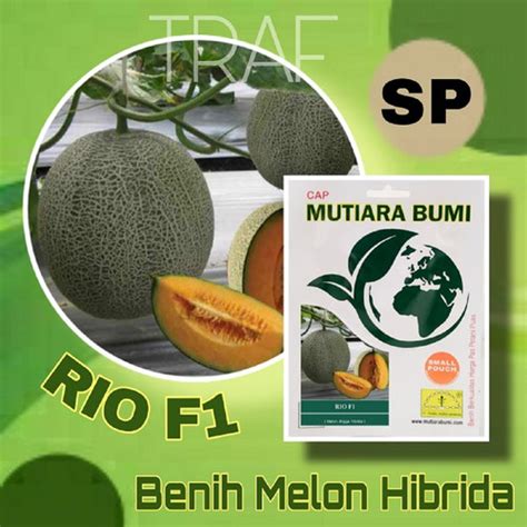 Jual Benih Melon Hibrida Rio F Isi Butir Benih Cap Mutiara Bumi