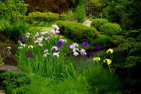 Красота мира. Обсуждение на LiveInternet - Российский Сервис Онлайн ...