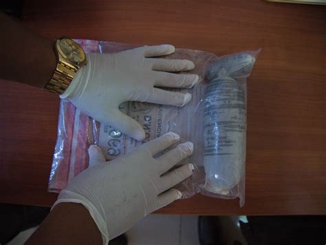 Video Detienen En El Aila Mujer Llevaba Coca Na En Vagina Ano Y Est Mago El Nuevo Diario