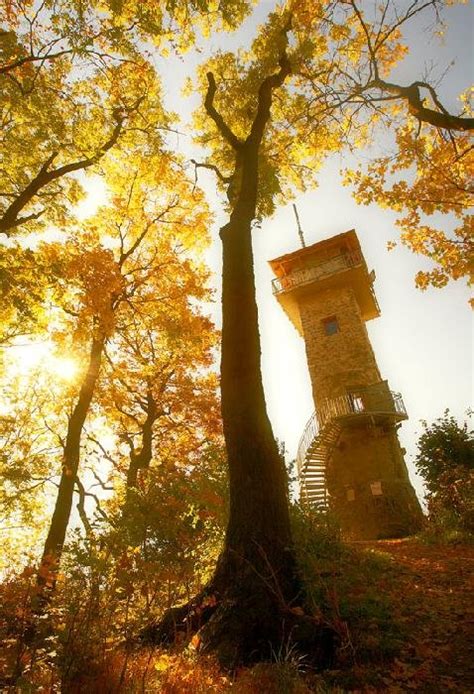 rozhledna alexandrova rozhledna rozhledny  cr