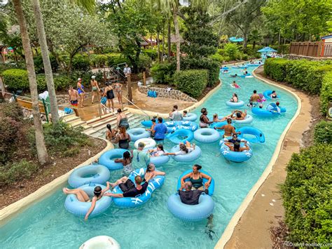 The Surprising Shoe Trend I Spotted in Disney World - Disney Food