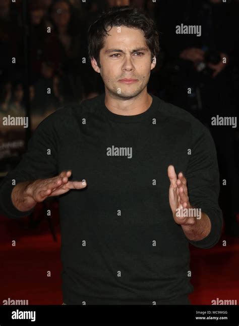 Jan 22 2018 Dylan Obrien Attending The Uk Fan Screening Of Maze