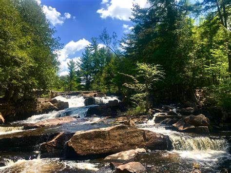 adirondack animal land 3