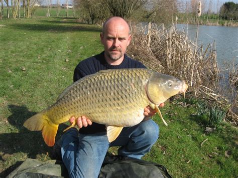The carp are starting to feed at Lillypoool - Angling Lines Blog 🎣