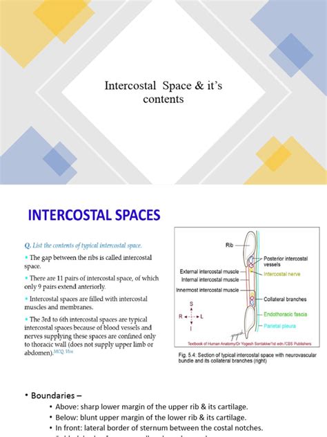 how to find 2nd intercostal space