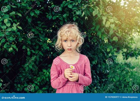 Schattig Mooi Blonde Blanke Meisje In Roze Jurk Met Witte Madeliefje In Haar Handen Stock