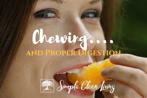 Chewing and Proper Digestion