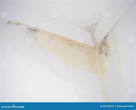 Leak On White Ceiling The Sewer Pipes Are Faulty Concept Of Leaking