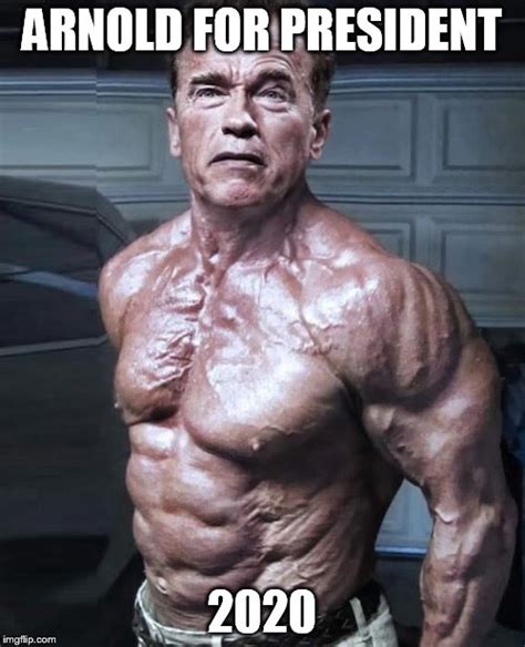 arnold schwarzenegger - Imgflip