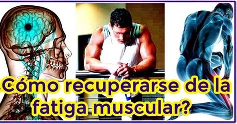 Qué hacer para recuperarse de la fatiga muscular