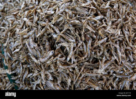 Dried Fish Uganda Stock Photo Alamy