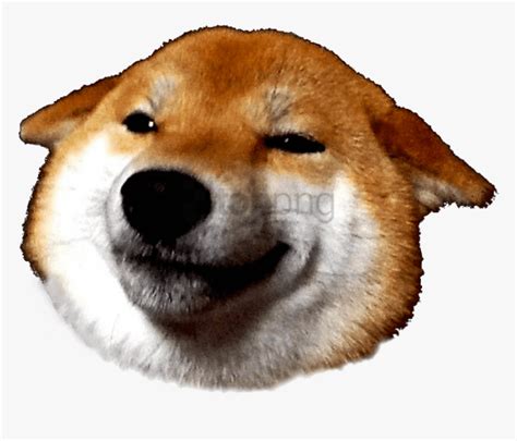 inudog inucanisnon sporting dogkorean jindo dogfawn shibe png