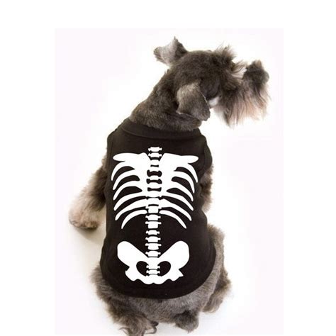 Dog Skeleton - Etsy