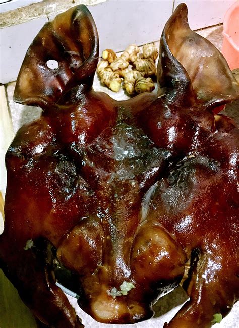 A cooked pig head to worship family ancestors. Happy new year's eve ...