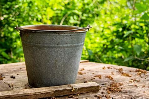 Дачники закапывают в огороде ведро для полива растений