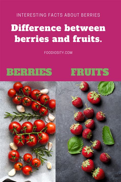 Berries VS Fruits | Did you know ? Tomato = Berries AND Strawberries = Fruits | Fruit facts ...