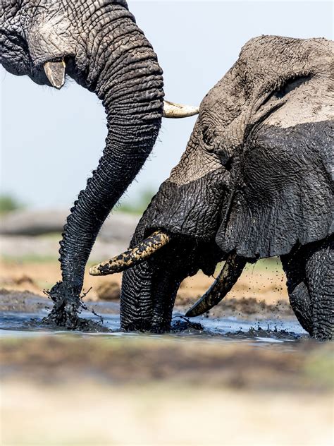 Botswana vacations 2026/2027