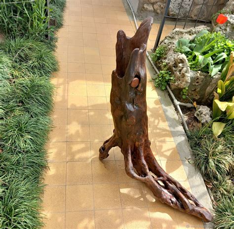 Напольная ваза из дерева Акула – купить на Ярмарке Мастеров – T2HW4RU ...