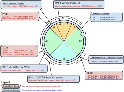 RNA-Seq expression data in drought-stressed ovary tissue with ...