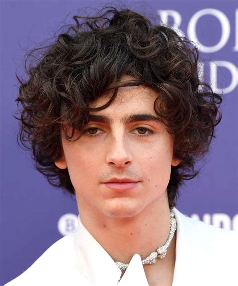 Timothee Chalamet Hairstyle With Curls - TheHairStyler.com