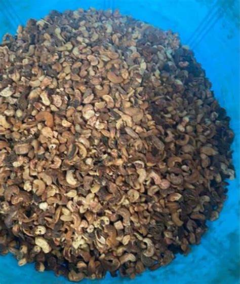 Cashew Nut Shell Packaging Type Loose At Rs Kg In Bavla Id