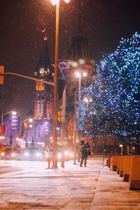 Enjoy Thousands of Dazzling Lights and Free Experiences with Winter