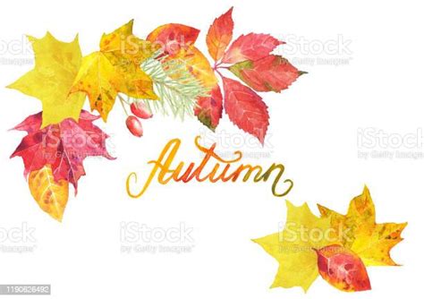 watercolor hand drawn colorful fall leaves  lettering isolated