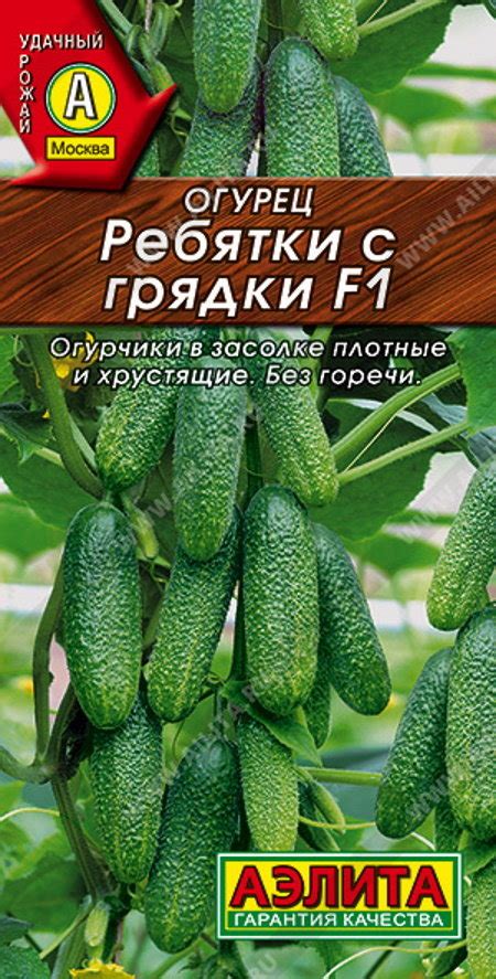 Купить семена Огурец Ребятки с грядки F1 в магазине Первые Семена по ...