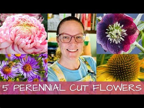 Sandália Plataforma Anabela Confortável - 5 Perennial Cut Flowers That I Love! ♥ || Growing Cut Flowers || Cut ...