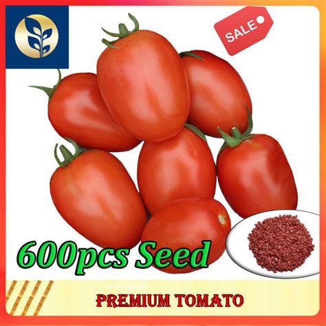 tomato premium seeds tomato seeds vegetables seeds golden agri