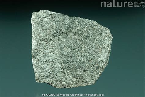 Igneous Rock Diorite